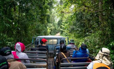 2 Days Trip from Delhi | Jim Corbett Safari Tour